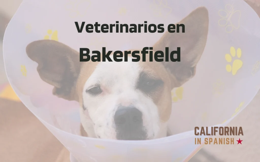 Veterinarios en Bakersfield