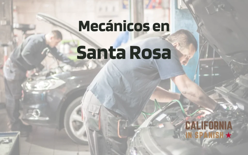 Mecánicos en Santa Rosa