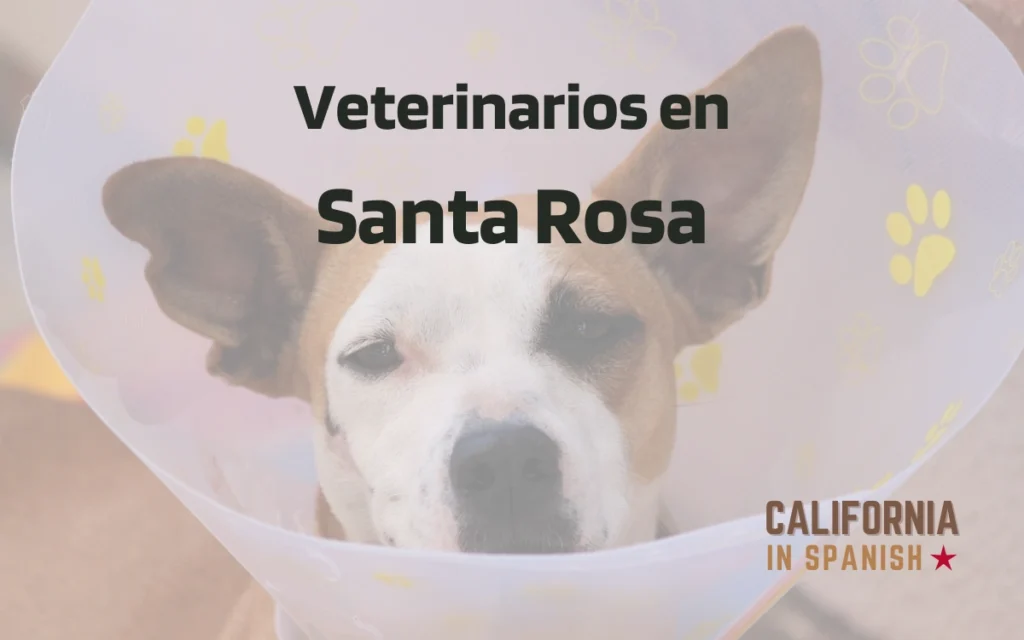 Veterinarios en Santa Rosa